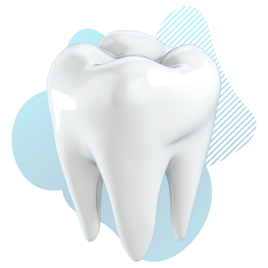 tooth model